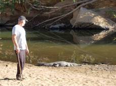 freshwater-croc